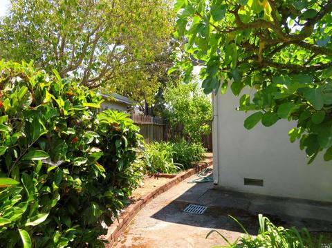 19 Nancy Dr, Novato, CA 94947 photo 38