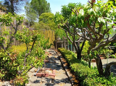19 Nancy Dr, Novato, CA 94947 photo 33