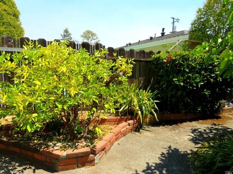 19 Nancy Dr, Novato, CA 94947 photo 34