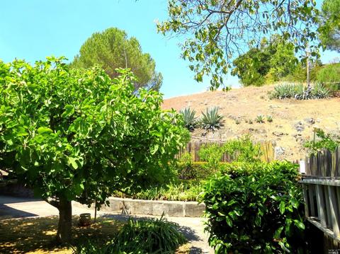 19 Nancy Dr, Novato, CA 94947 photo 40