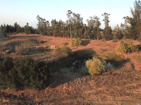 1475 W Sierra Ave, Cotati, CA 94931 photo 3