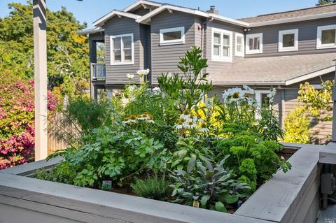 55 Walnut Ave, Mill Valley, CA 94941 photo 14