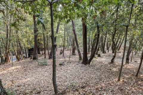 27161 Bear Dr, Willits, CA 95490 photo 22