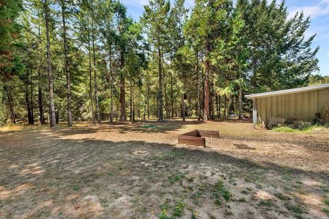 1633 Schaeffer Rd, Sebastopol, CA 95472 photo 28