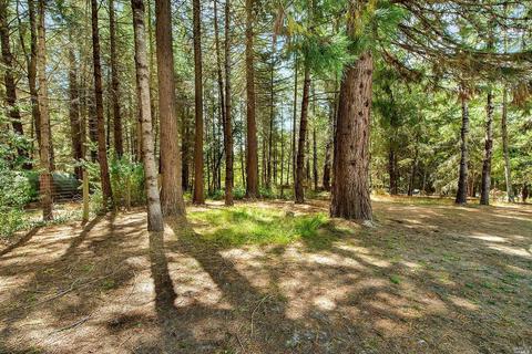 1633 Schaeffer Rd, Sebastopol, CA 95472 photo 29