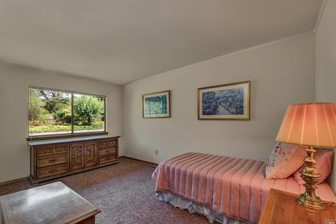 1633 Schaeffer Rd, Sebastopol, CA 95472 photo 22