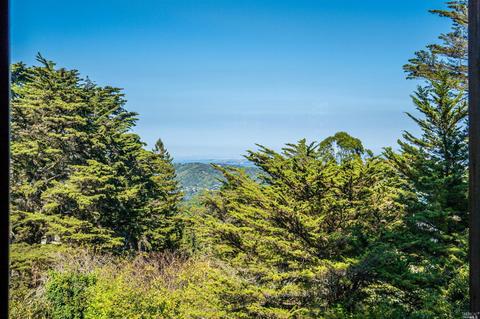 167 Bayview Dr, Mill Valley, CA 94941 photo 13