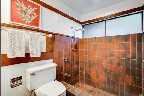 167 Bayview Dr, Mill Valley, CA 94941 photo 18
