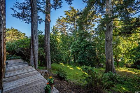 167 Bayview Dr, Mill Valley, CA 94941 photo 17
