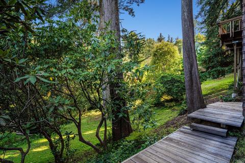 167 Bayview Dr, Mill Valley, CA 94941 photo 20