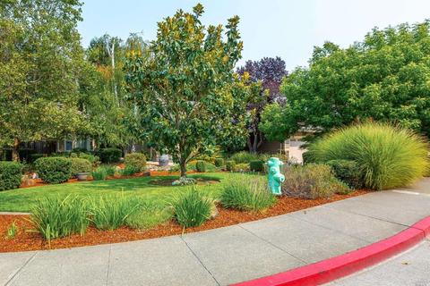 8817 Lund Hill Ln, Cotati, CA 94931 photo 2