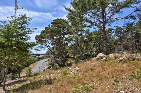 21950 Timber Cove Rd, Jenner, CA 95450 photo 20