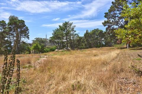 21950 Timber Cove Rd, Jenner, CA 95450 photo 19