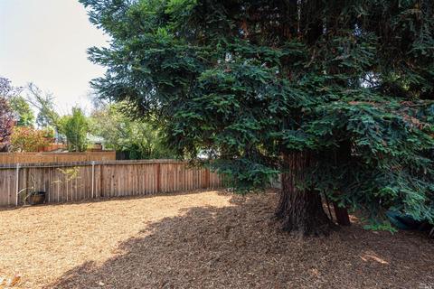 223 Wilford Ln, Cotati, CA 94931 photo 20