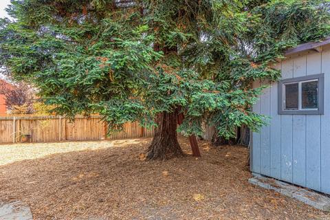 223 Wilford Ln, Cotati, CA 94931 photo 21