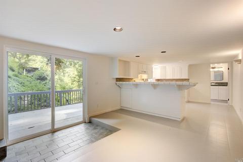 100 Cypress Ave, Mill Valley, CA 94941 photo 33