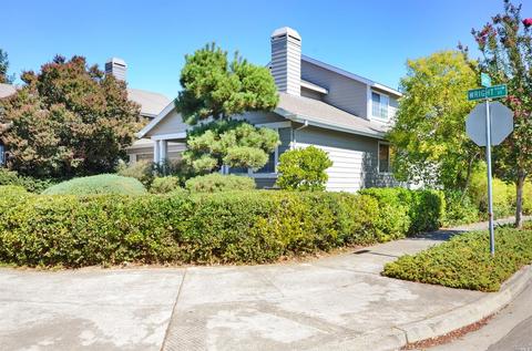 984 Wright St, Santa Rosa, CA 95404 photo 5