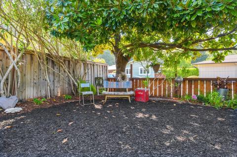 8 Westbrae Dr, Fairfax, CA 94930 photo 40