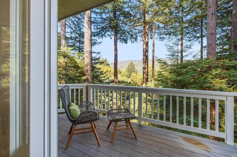 122 Ralston Ave, Mill Valley, CA 94941 photo 25