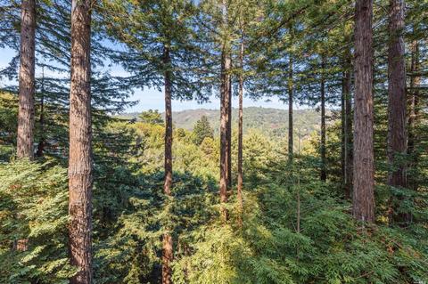 122 Ralston Ave, Mill Valley, CA 94941 photo 17