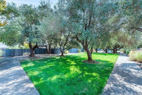 191 Blue Wing Dr, Sonoma, CA 95476 photo 24