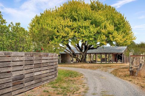1670 Cooper Rd, Sebastopol, CA 95472 photo 32