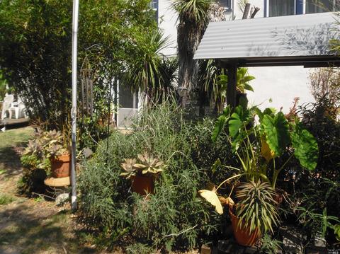 137 Carroll St, Vallejo, CA 94590 photo 5