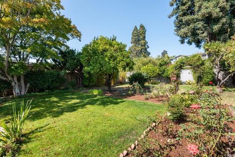 25 Nelson Ave, Mill Valley, CA 94941 photo 18