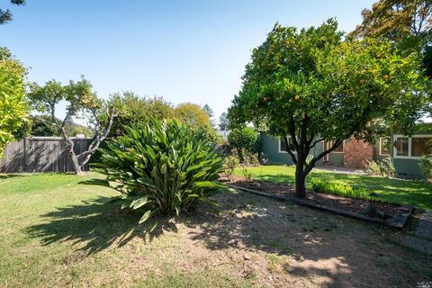 25 Nelson Ave, Mill Valley, CA 94941 photo 15