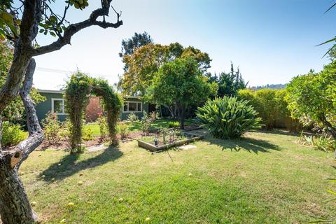 25 Nelson Ave, Mill Valley, CA 94941 photo 14