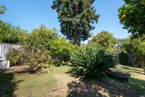 25 Nelson Ave, Mill Valley, CA 94941 photo 16