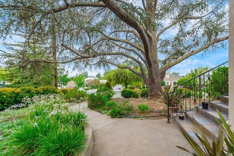 204 E 1st St, Napa, CA 94559 photo 5