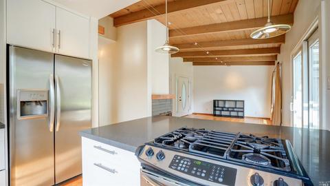 52 Maple Ave, Fairfax, CA 94930 photo 10