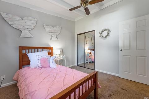 382 W Macarthur St, Sonoma, CA 95476 photo 21