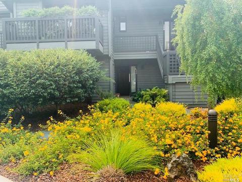 164 Cypress Pl, Sausalito, CA 94965 photo 1