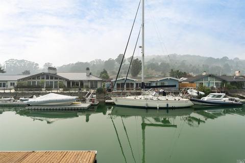 102 St Thomas Way, Tiburon, CA 94920 photo 21
