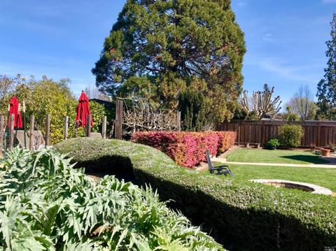 324 E Macarthur St, Sonoma, CA 95476 photo 38