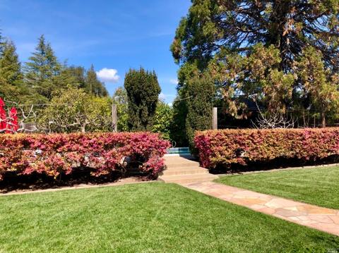324 E Macarthur St, Sonoma, CA 95476 photo 7