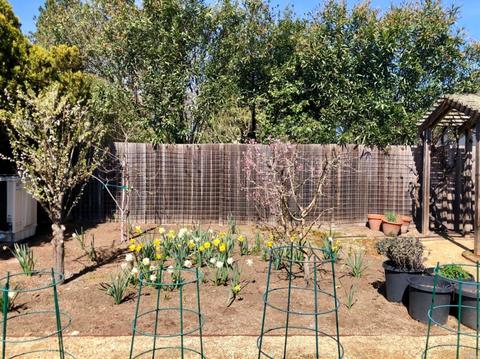 324 E Macarthur St, Sonoma, CA 95476 photo 32