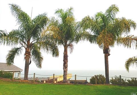 5000 Paradise Dr, Tiburon, CA 94920 photo 38