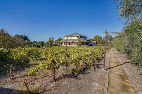 10377 Hillview Rd, Windsor, CA 95492 photo 38