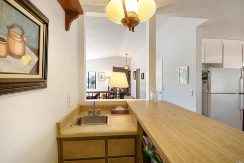 1393 Larkin Dr, Sonoma, CA 95476 photo 20