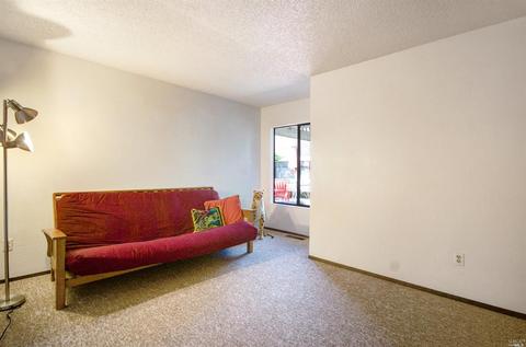 1393 Larkin Dr, Sonoma, CA 95476 photo 25