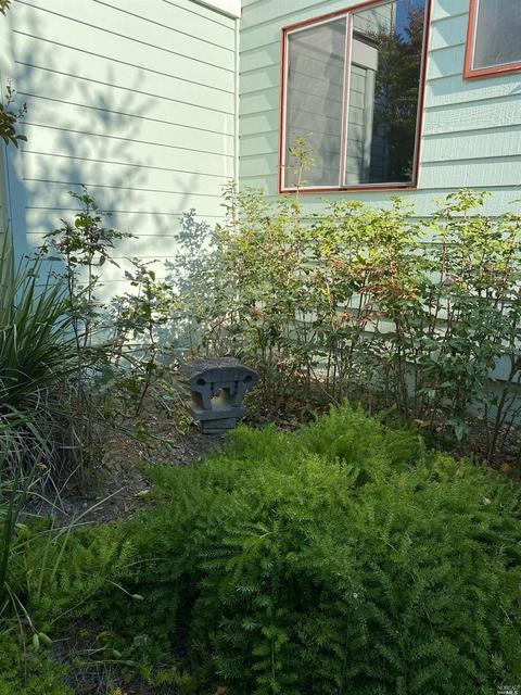 152 Courtyards E, Windsor, CA 95492 photo 4