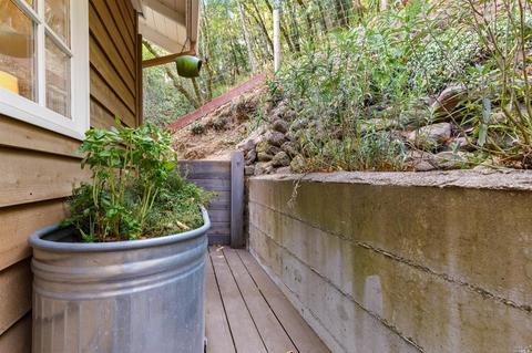 97 Berkeley Ave, San Anselmo, CA 94960 photo 32
