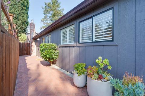 281 Molino Ave, Mill Valley, CA 94941 photo 37