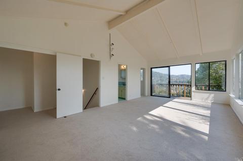 281 Molino Ave, Mill Valley, CA 94941 photo 44