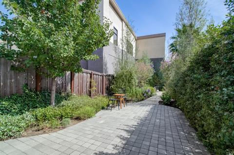 814 E St, San Rafael, CA 94901 photo 44