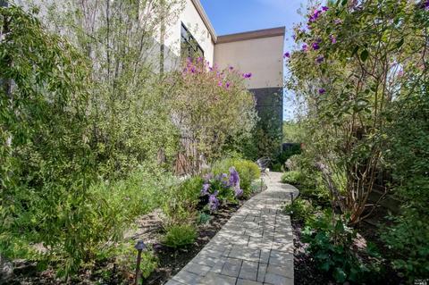 814 E St, San Rafael, CA 94901 photo 46
