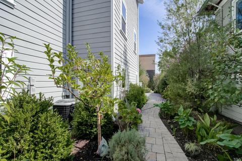 814 E St, San Rafael, CA 94901 photo 48
